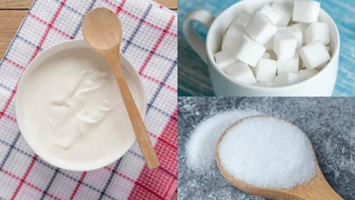 दही के साथ चीनी मिलाएं या फिर नमक मिलाकर खाएं, क्या है Dahi खाने का सही तरीका? दही खाने का सही तरीका- India TV Hindi