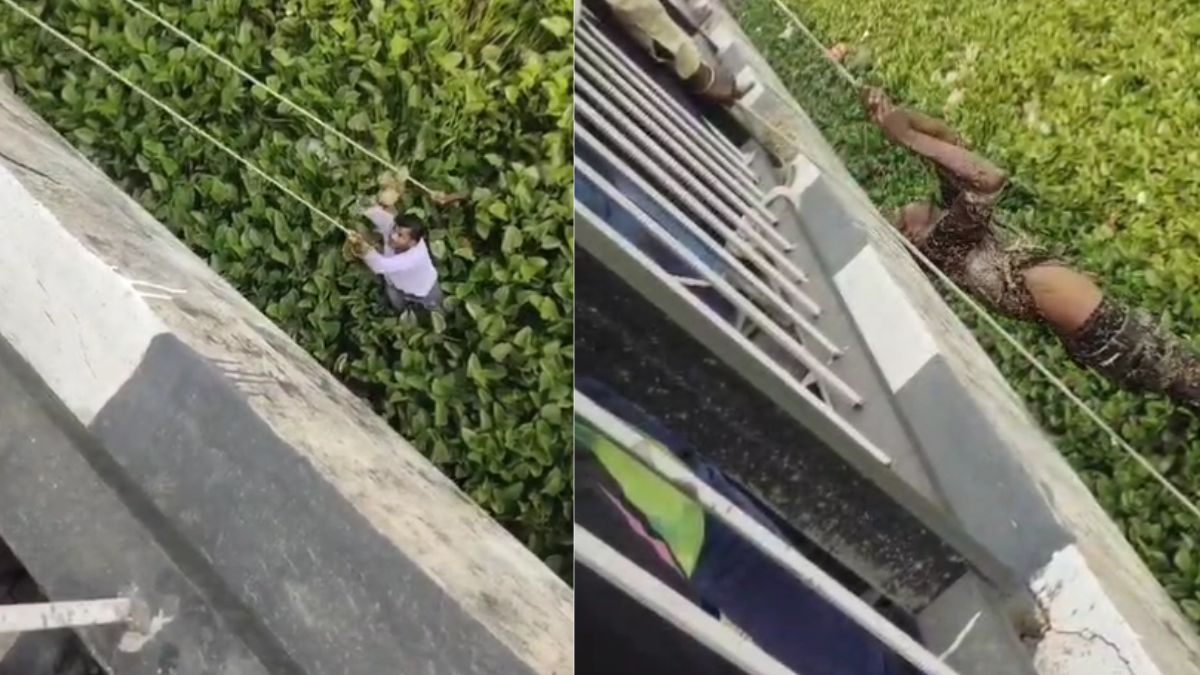 Aaj Ka Viral Video, Suicide Attempt gone wrong, Video Viral: खुदकुशी करने के लिए नदी में कूदा शख्स मगर हुआ कुछ ऐसा कि Viral हो गया Video Aaj Ka Viral Video, Suicide Attempt gone wrong, Video Viral: खुदकुशी करने के लिए नदी में कूदा शख्स मगर हुआ कुछ ऐसा कि Viral हो गया Video
