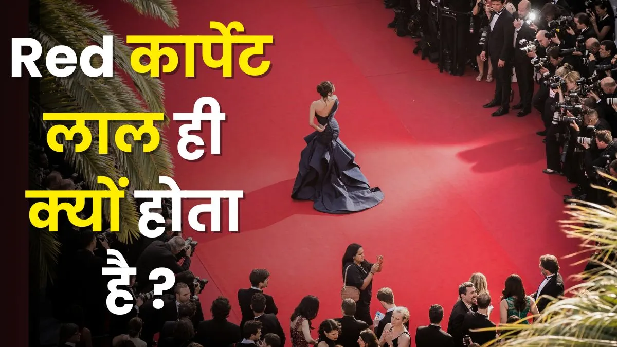 किसी भी VIP के लिए 'रेड कार्पेट' ही क्यों बिछाते हैं ? नीला, पीला या हरा क्यों नहीं; सुनकर चौंक जाएंगे why red carpet colour is red, red carpet red colour, red carpet colour history, history of red carpe- India TV Hindi