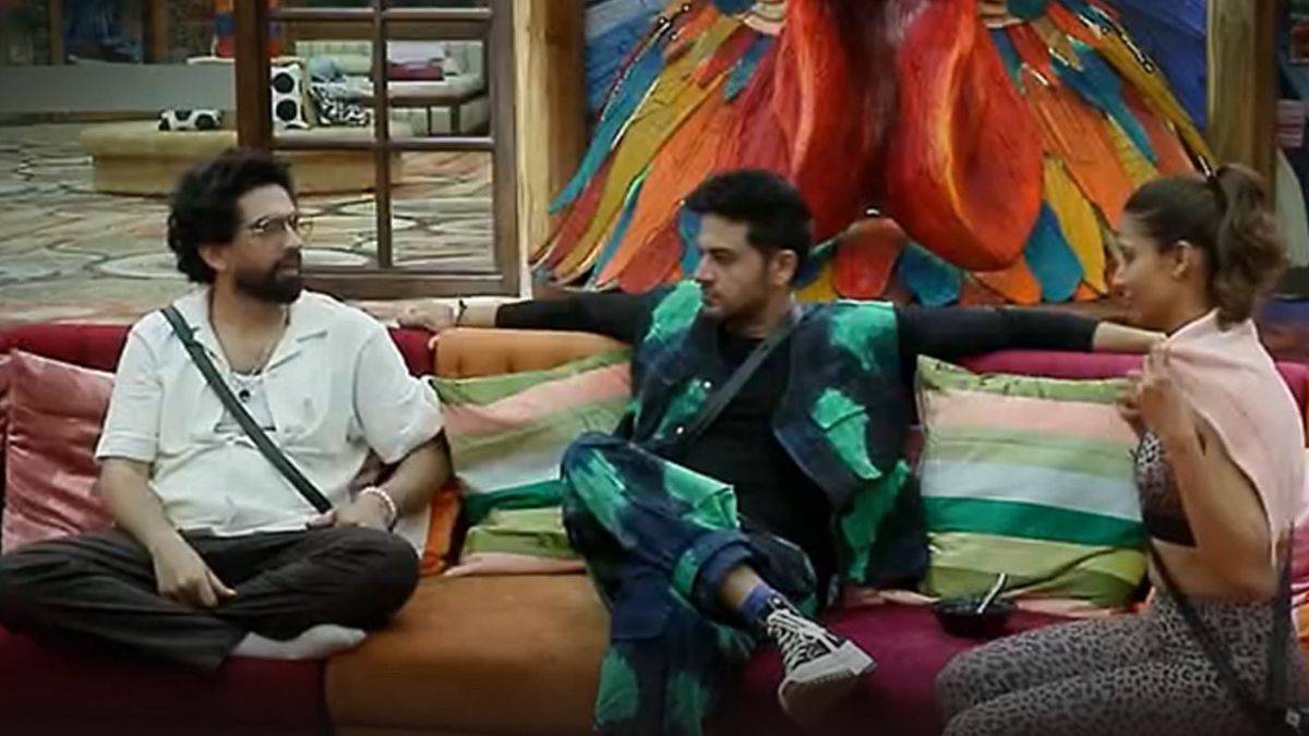 फिल्म फ्लॉप हुई तो टूटा दिल, फिर अमाल ने न्यूजीलैंड में मनाई छुट्टियां