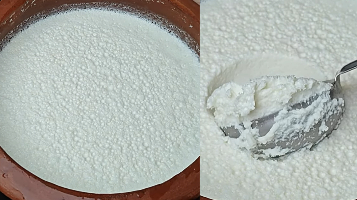 मलाईदार गाढ़ा दही जमाने के लिए अपनाएं 2 सिंपल टिप्स, बाजार का दही खाना भूल जाएंगे, फटाफट जान लें क्या है तरीका