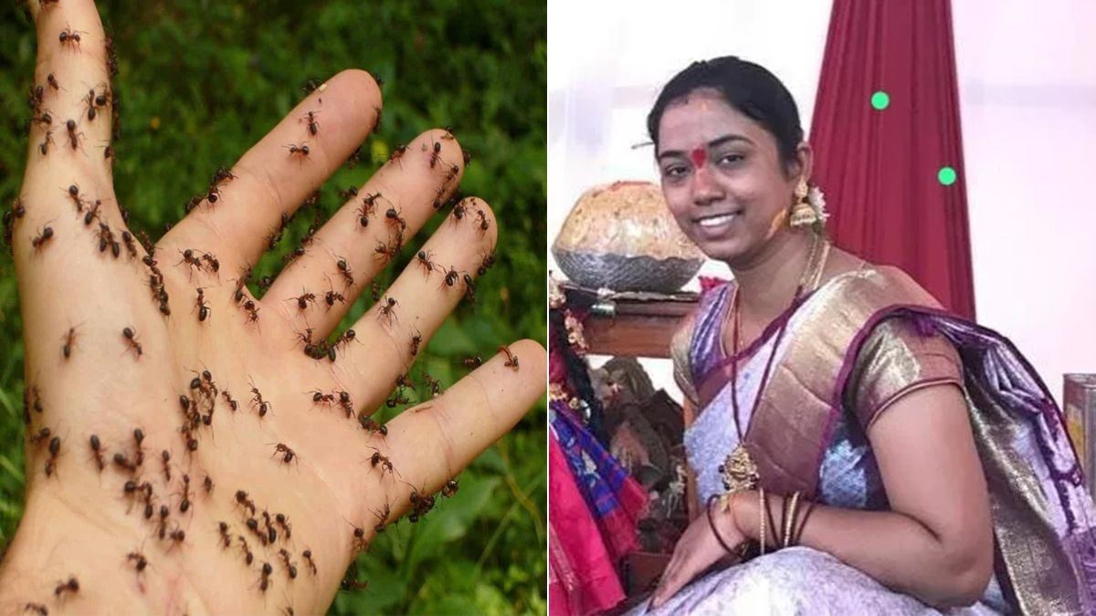 चींटियों के डर से युवती ने लगा ली फांसी, पति के नाम छोड़ा भावुक नोट; सुसाइड का ये किस्सा जानकर हिल जाएगा दिमाग