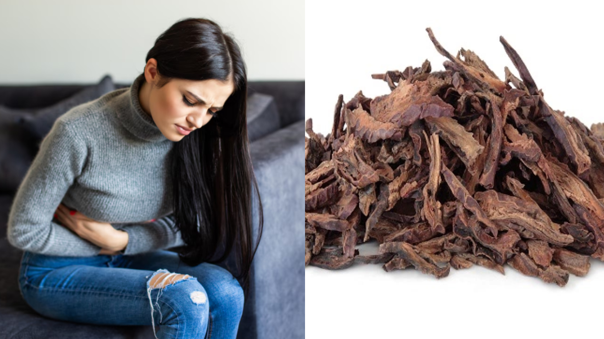 अशोक की छाल के फायदे और इस्तेमाल करने का तरीका क्या है, हैवी ब्लीडिंग और पीरियड्स के दर्द से महिलाओं को मिलेगी राहत