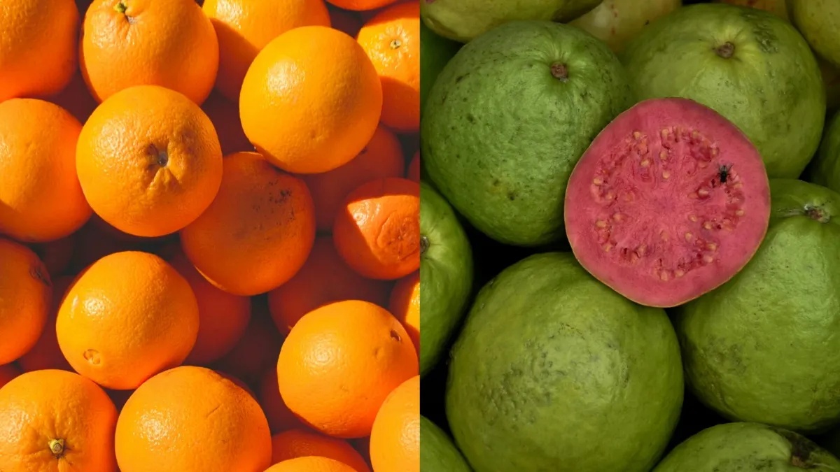 संतरे में ज्यादा विटामिन सी पाया जाता है या अमरूद में? डायटीशियन से जानें क्या है सही जवाब? अमरूद या संतरा- India TV Hindi