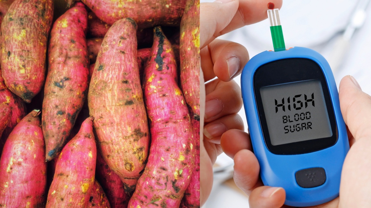 क्या डायबिटीज के मरीज शकरकंद का सेवन कर सकते हैं? जानें कितना होता है इसका ग्लाइसेमिक इंडेक्स?