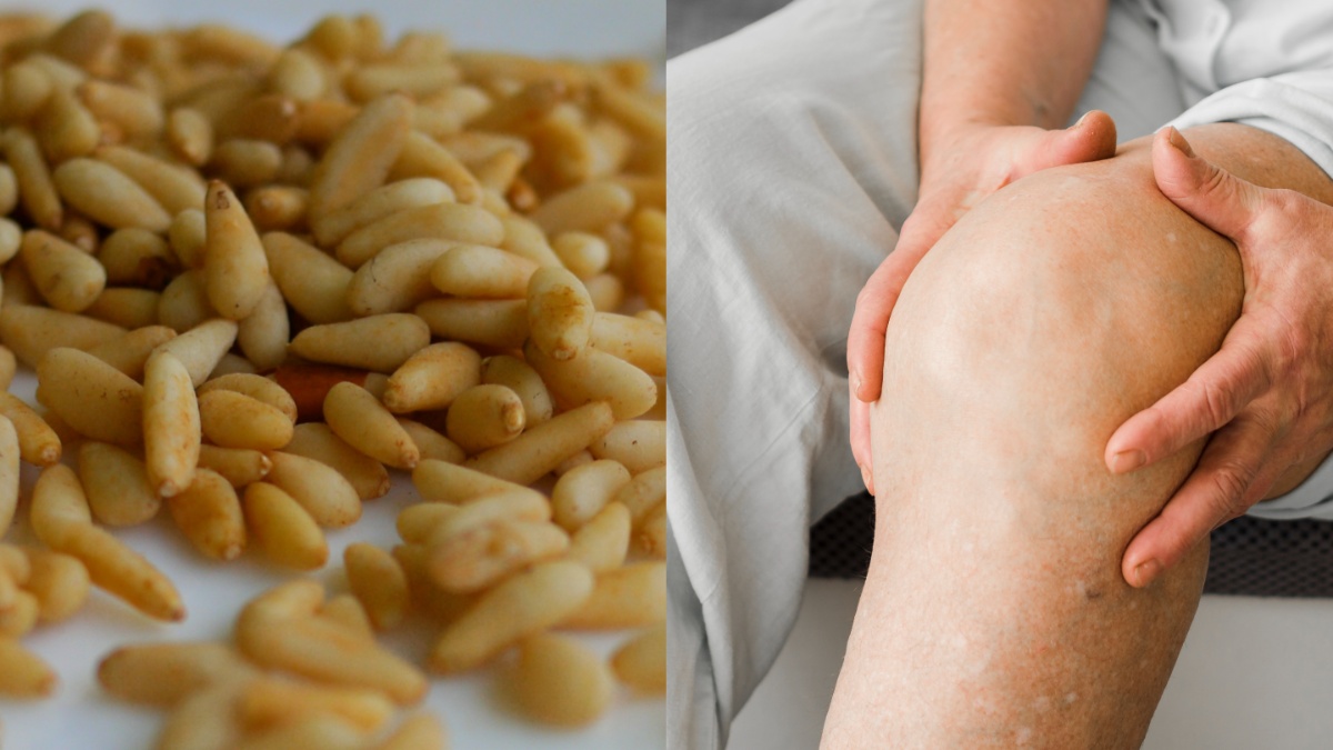 सर्दियों में चिलगोजा खाने से कमजोर हड्डियां बनेंगी फौलादी, जोड़ों का दर्द होगा छूमंतर, जान लें सेवन का सही तरीका?