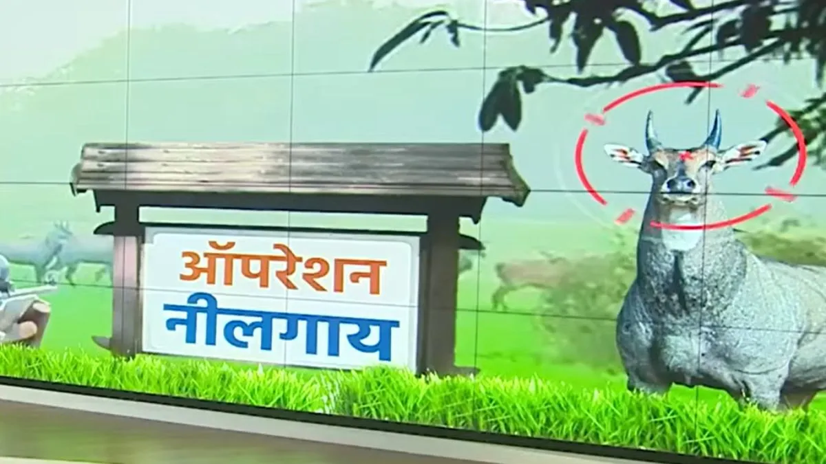 बिहार में नीलगायों का ‘एनकाउंटर’