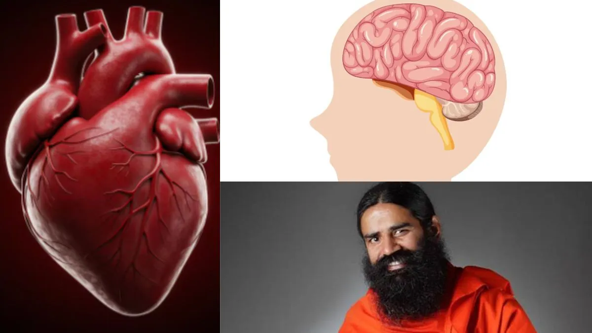 हार्ट, लीवर और ब्रेन रहेगा हेल्दी, स्वामी रामदेव ने बताए फिट रहने के नेचुरली उपाय हार्ट, लीवर और ब्रेन को कैसे हेल्दी रखें- India TV Hindi