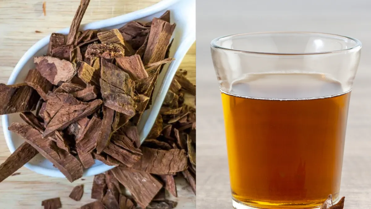 अर्जुन की छाल का पानी पीने के फायदे और सेवन का सही तरीका क्या है, जान लें कितने लगातार पीना चाहिए? अर्जुन की छाल का पानी पीने के फायदे - India TV Hindi