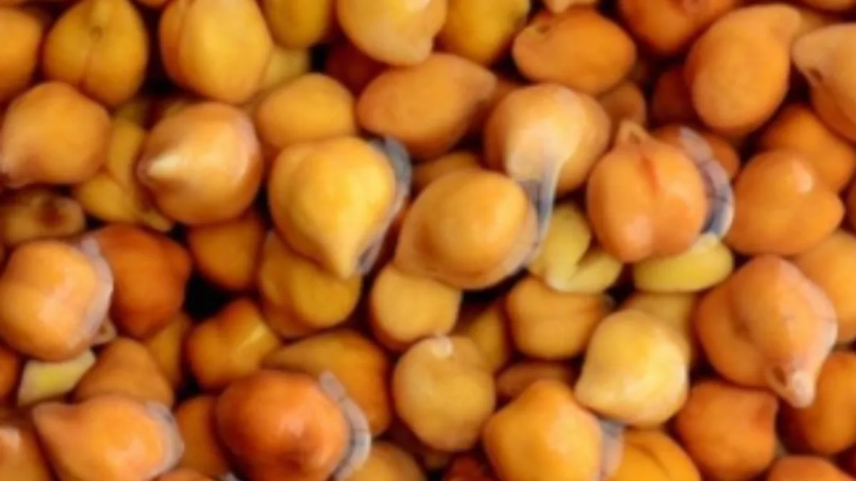 सुबह-सुबह खा लीजिए भीगे हुए चने, बढ़ जाएगा स्टैमिना, शरीर को मिलेंगे ये कमाल के फायदे भीगे हुए चने- India TV Hindi