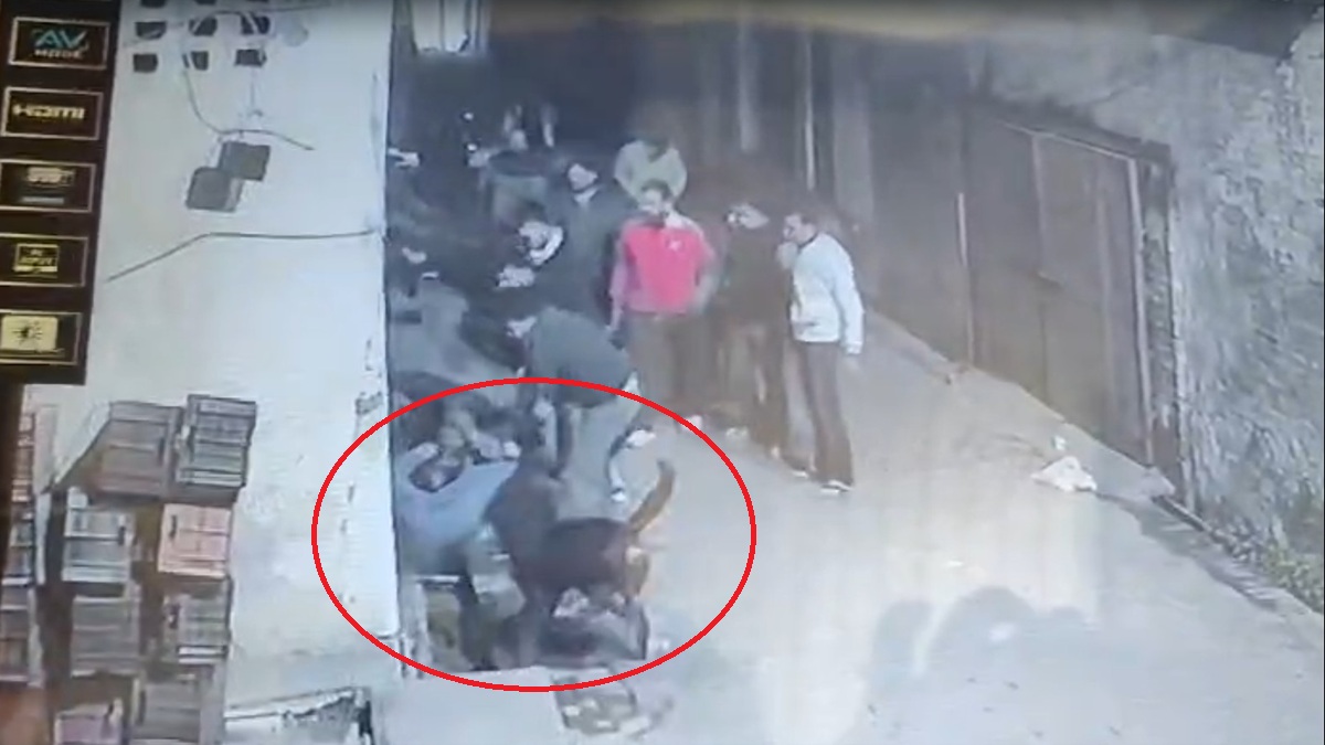 दिल दहलाने वाली हैवानियत: दबंगों ने बुजुर्ग व्यापारी पर छोड़ा पिटबुल कुत्ता, घटना CCTV में कैद दिल दहलाने वाली हैवानियत: दबंगों ने बुजुर्ग व्यापारी पर छोड़ा पिटबुल कुत्ता, घटना CCTV में कैद
