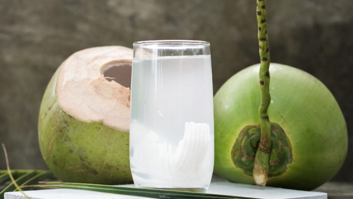 प्राकृतिक अमृत है नारियल पानी, जान लें पीने का सही समय और तरीका क्या है, जिससे नारियल पानी के भरपूर फायदे मिलें