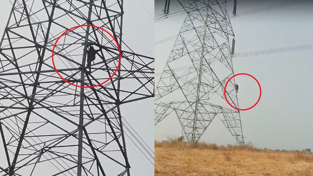 जमीन विवाद पर युवक का हाईवोल्टेज ड्रामा, हाईटेंशन लाइन टावर पर चढ़कर पूर्व BJP MLA पर लगाए गंभीर आरोप-VIDEO हाईटेंशन लाइन टावर पर चढ़ा युवक- India TV Hindi