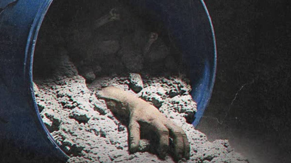 नीला ड्रम और हनीमून हत्या का रिपीट शो दिखाती सीरीज, देखकर थरथरा उठेगा शरीर