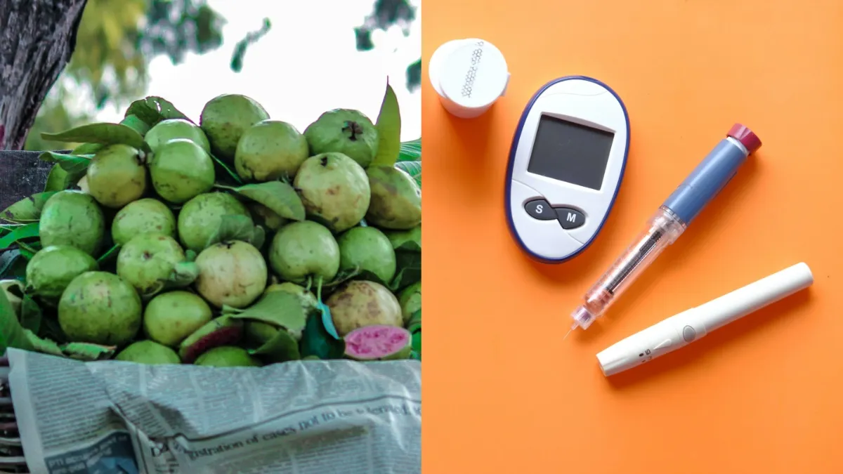 इस फल को कहा जाता है शुगर नाशक, डायबिटीज के मरीजों के लिए करता है टॉनिक की तरह काम, जानें कैसे करें सेवन? डायबिटीज - India TV Hindi