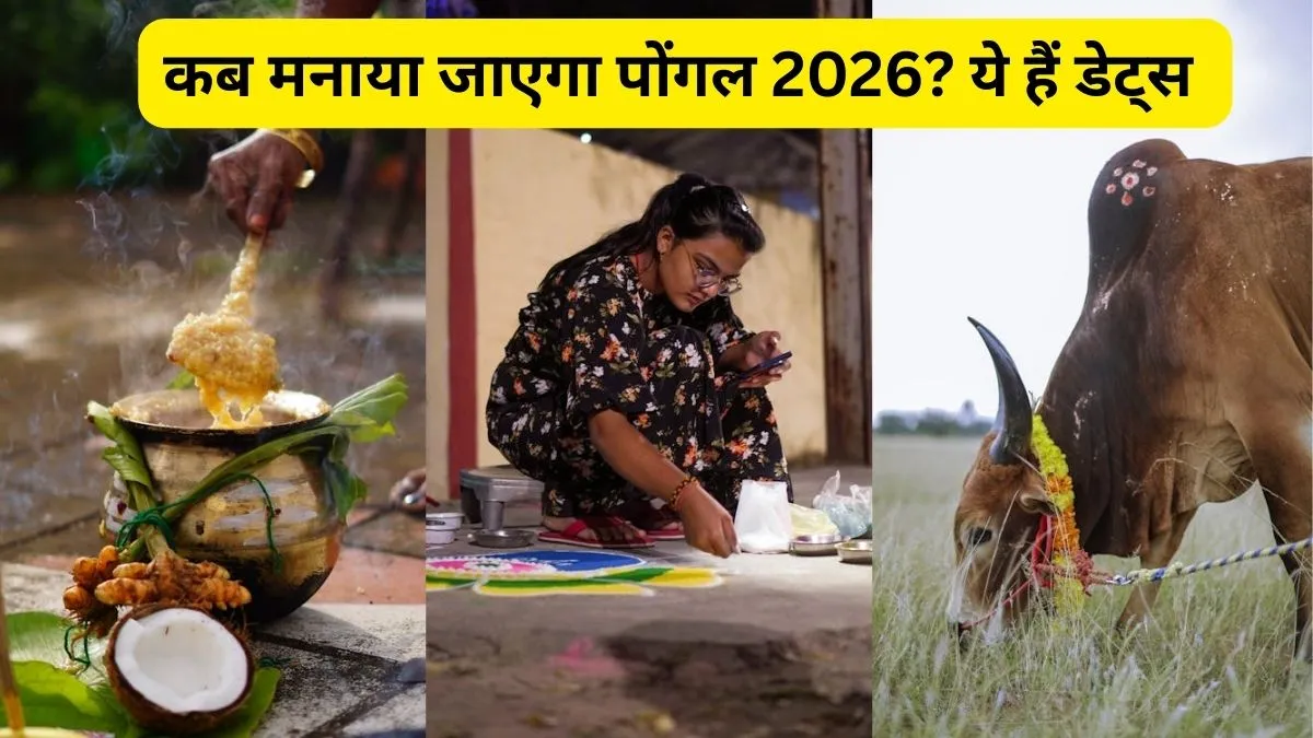 Pongal 2026: कब मनाया जाएगा पोंगल का त्योहार? जानें इस पर्व का महत्व, नोट कर लें सही तारीखें और शुभ मुहूर्त Pongal 2026 Date- India TV Hindi