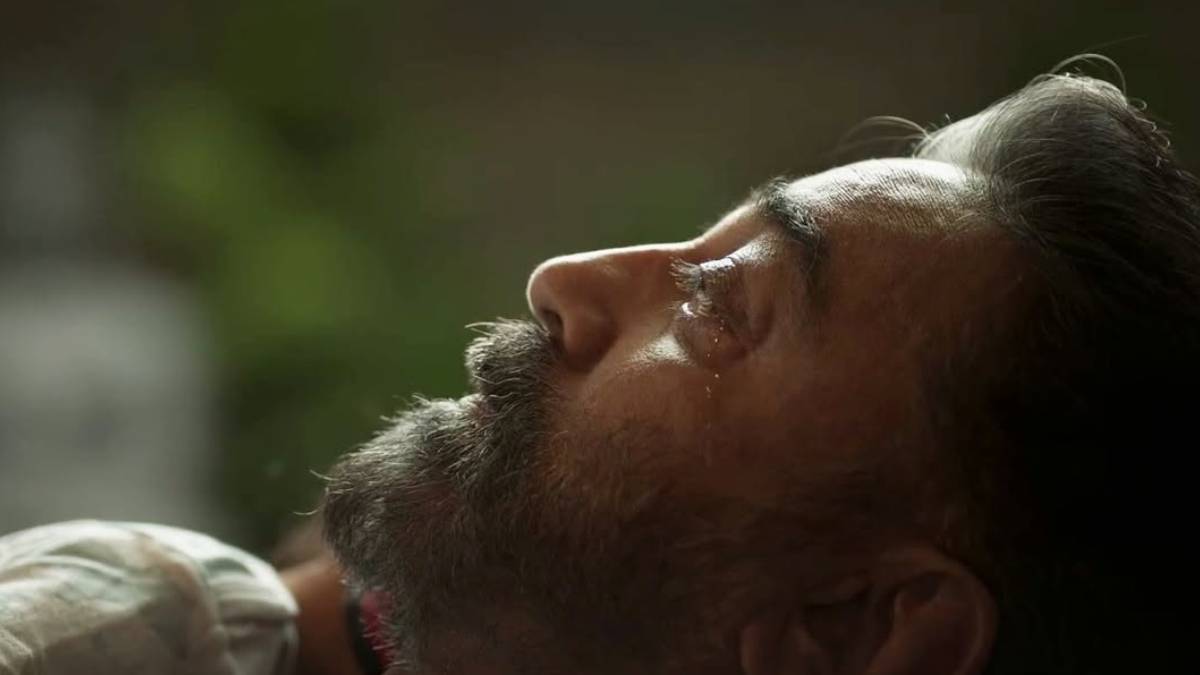 क्लाइमैक्स देख खुला रह जाएगा जबड़ा, फिल्म का हीरो ही लगता है विलेन