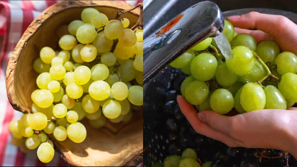 अंगूर पर लगे केमिकल को कैसे हटाएं, धोते वक्त कर लें ये उपाय, मर जाएंगे सारे  कीटाणु - India TV Hindi