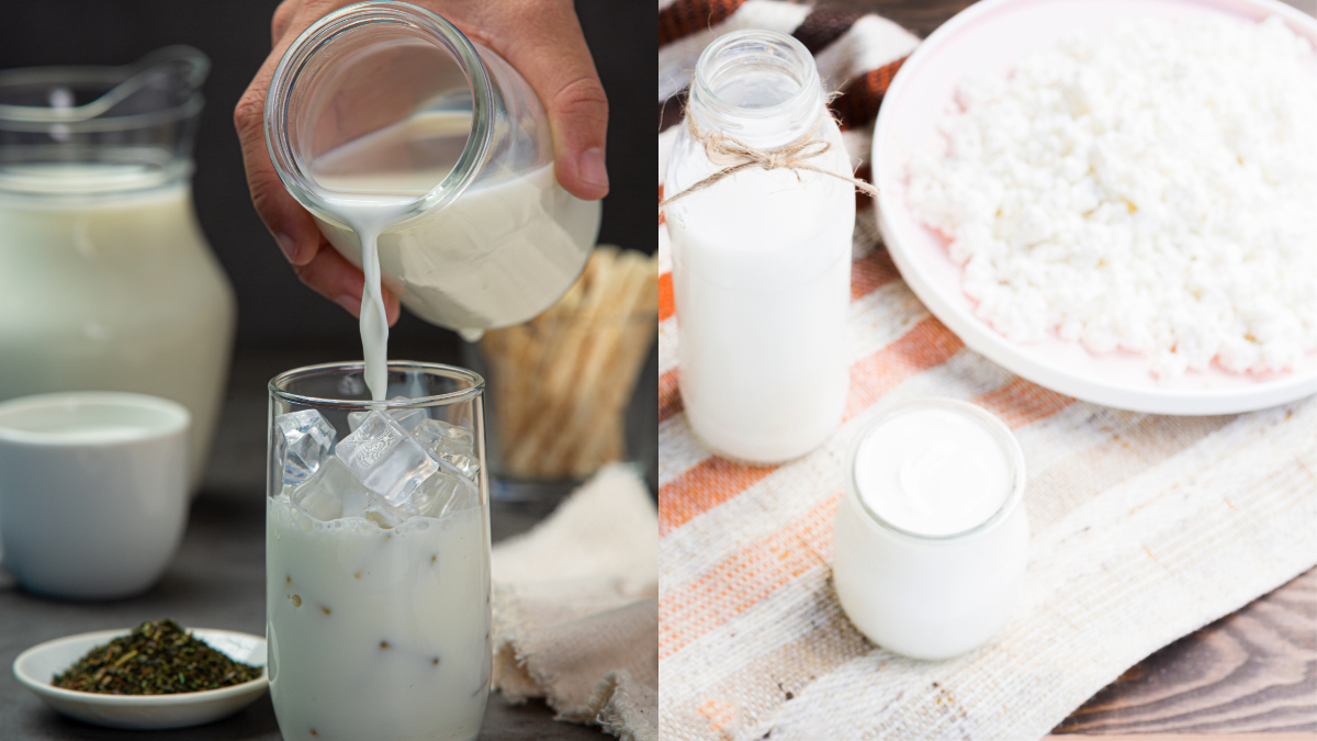 क्या है केफिर ड्रिंक, सुपरफूड की लिस्ट में है शामिल, विटामिन और मिनरल का होता है भंडार