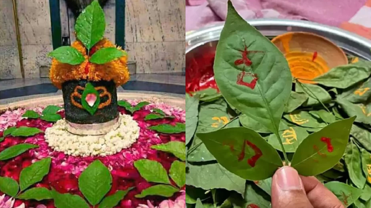 शिवलिंग पर चढ़ा बेलपत्र खाने के फायदे, क्यों महाशिवरात्रि पर लोग करते हैं ये उपाय