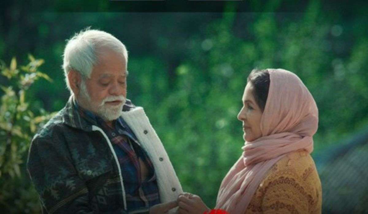 फ्लॉप होने के बावजूद क्यों बना संजय मिश्रा और नीना गुप्ता की फिल्म का सीक्वल? ये है असली वजह