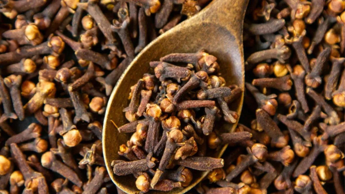 माता दुर्गा की पूजा के दौरान अगर आप माता को लौंग का एक जोड़ा चढ़ाएं और पूजा के बाद इसे जोड़े को एक लाल पोटली में बांधकर अपने घर में रख लें तो घर में सुख-समृद्धि आती है। 