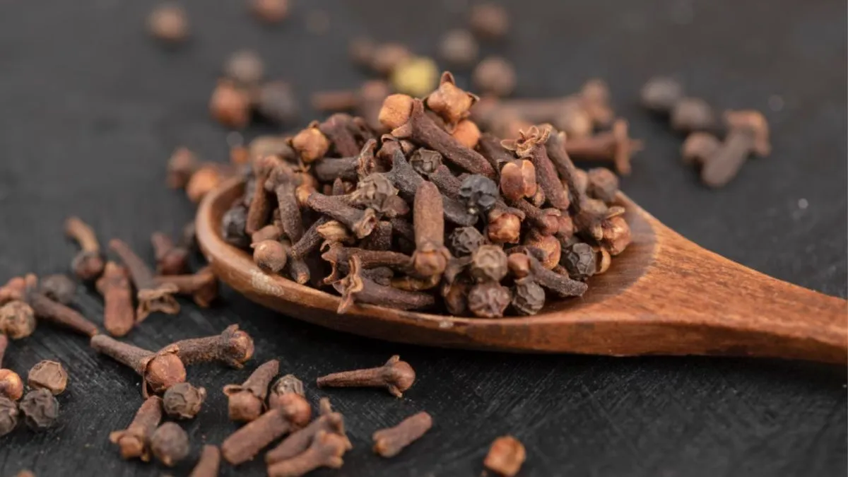 नवरात्रि में किसी भी दिन माता की पूजा के बाद पीले कपड़े में 5 लौंग, 5 इलायची और 5 सौंप रखकर उसे नवरात्रि के नौ दिनों में माता दुर्गा के पास रखें। नवरात्रि के नौ दिनों के बाद इस पोटली को धन की तिजोरी में रख दें। ऐसा माना जाता है कि यह उपाय करने से धन की बरकत घर में होती है। 