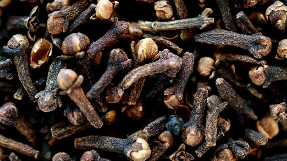 नवरात्रि के दौरान माता के किसी मंदिर में लौंग का दान करके आएं। ये आसान सा उपाय करने सा आपको जीवन की प्रत्येक क्षेत्र में सफलता मिलने लगती है और राहु-केतु भी शांत होते हैं। 