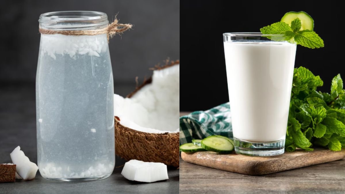 छाछ या नारियल पानी, क्या है ज्यादा फायदेमंद? - India TV Hindi