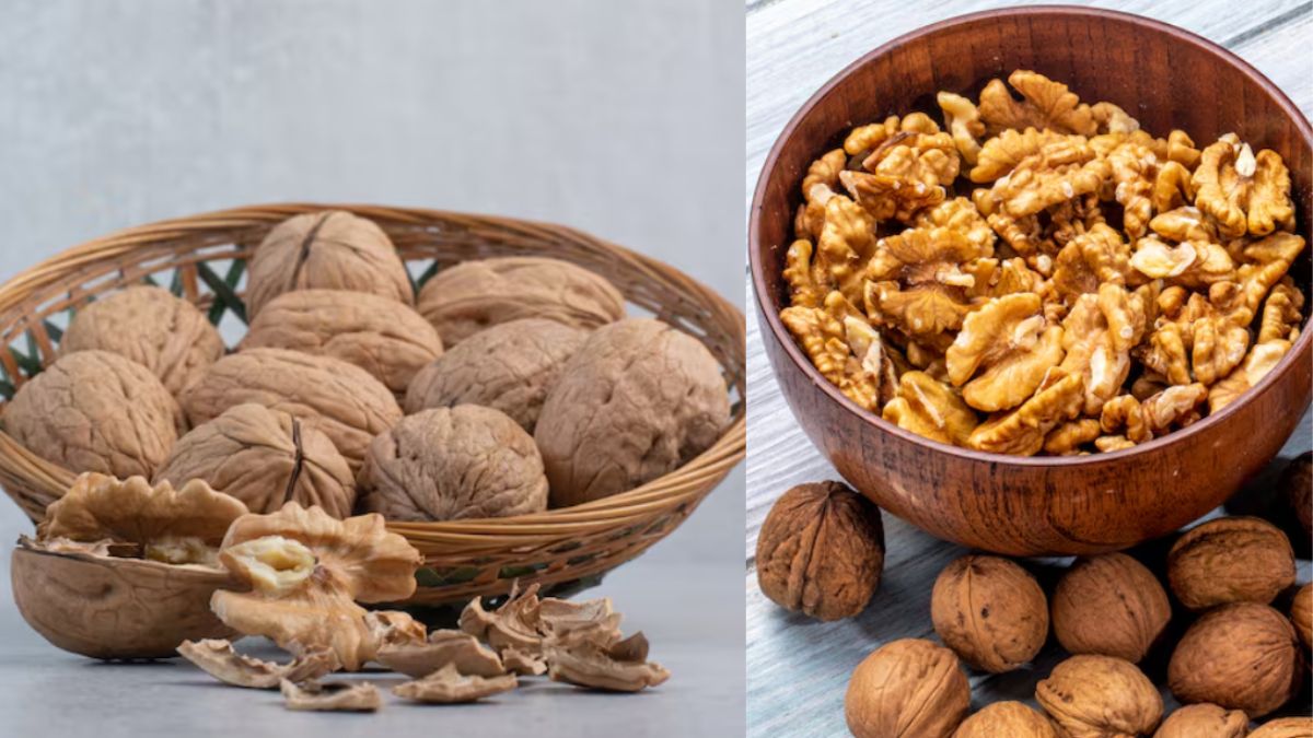 कश्मीरी अखरोट बनाम कैलिफोर्नियाई अखरोट: कौन सा बेस्ट है? कौन है ज्यादा फायदेमंद? कश्मीरी अखरोट बनाम कैलिफोर्नियाई अखरोट: कौन सा बेस्ट है? कौन है ज्यादा फायदेमंद?