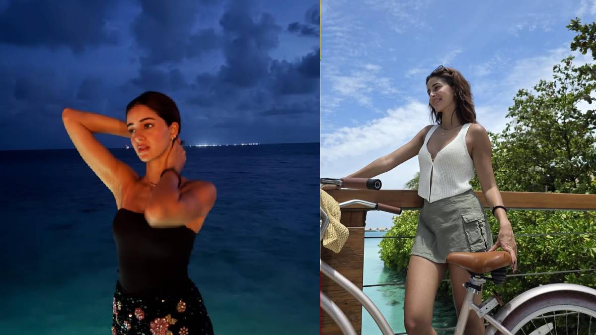 अपनी सुपरहिट सीरीज के दूसरे पार्ट में लौट रहीं अनन्या पांडे