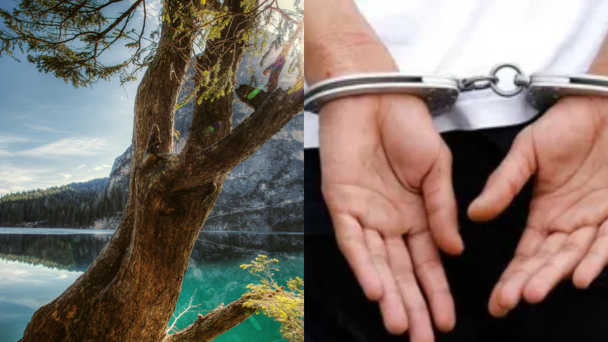 8, 6 और 5 वर्ष की बच्चियों की हत्या, पिता ने तीनों बेटियों को झील में डुबोया; ऐसे हुआ खुलासा