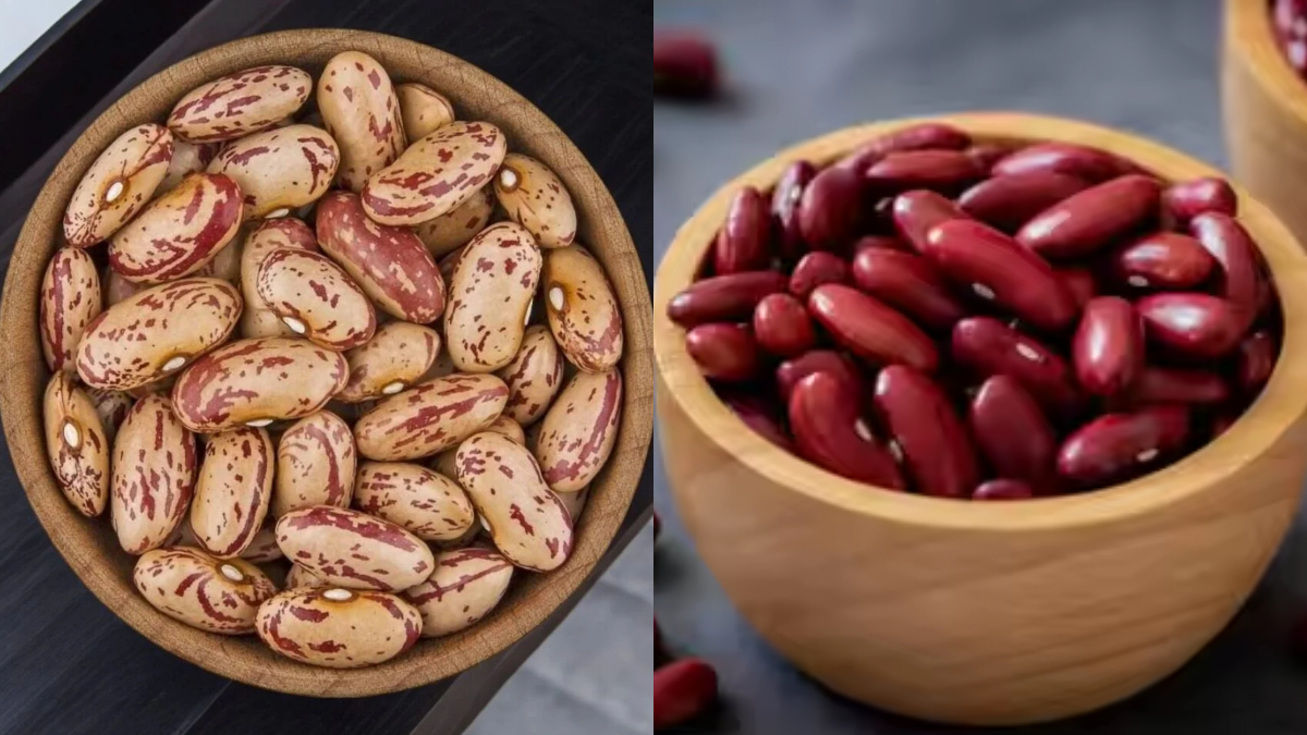 चित्रा या लाल कौन सा राजमा होता है ज्यादा अच्छा, जानिए कौन सा आसानी से गल जाता है, खरीदते वक्त फॉलो करे ये टिप्स