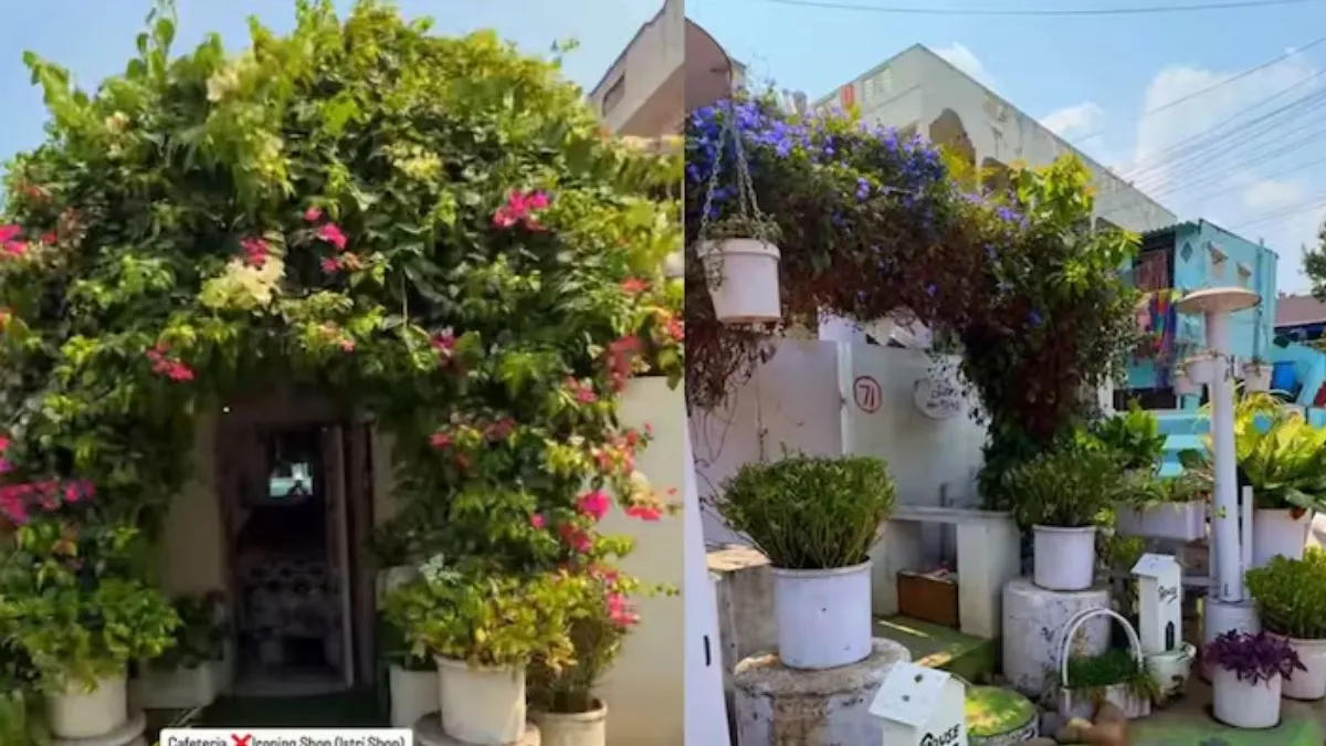 Viral Video : खूबसूरत नजारा देख कैफे समझने की गलती ना करें, असलियत देखकर आंखें फटी रह जाएंगी shop video viral, viral video, viral news, news In hindi, india tv- India TV Hindi