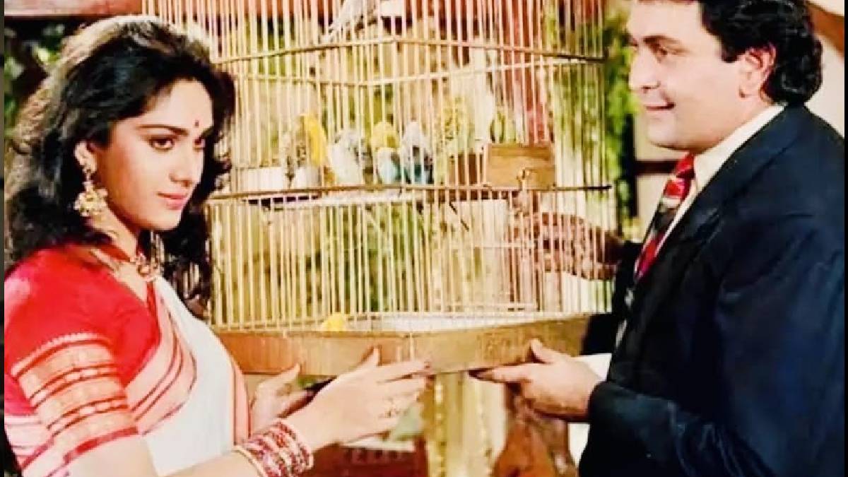 दामिनी फिल्म जिसकी कहानी में होली ने बरपाया कहर, 90 के दशक में राज करती थी ये मूवी