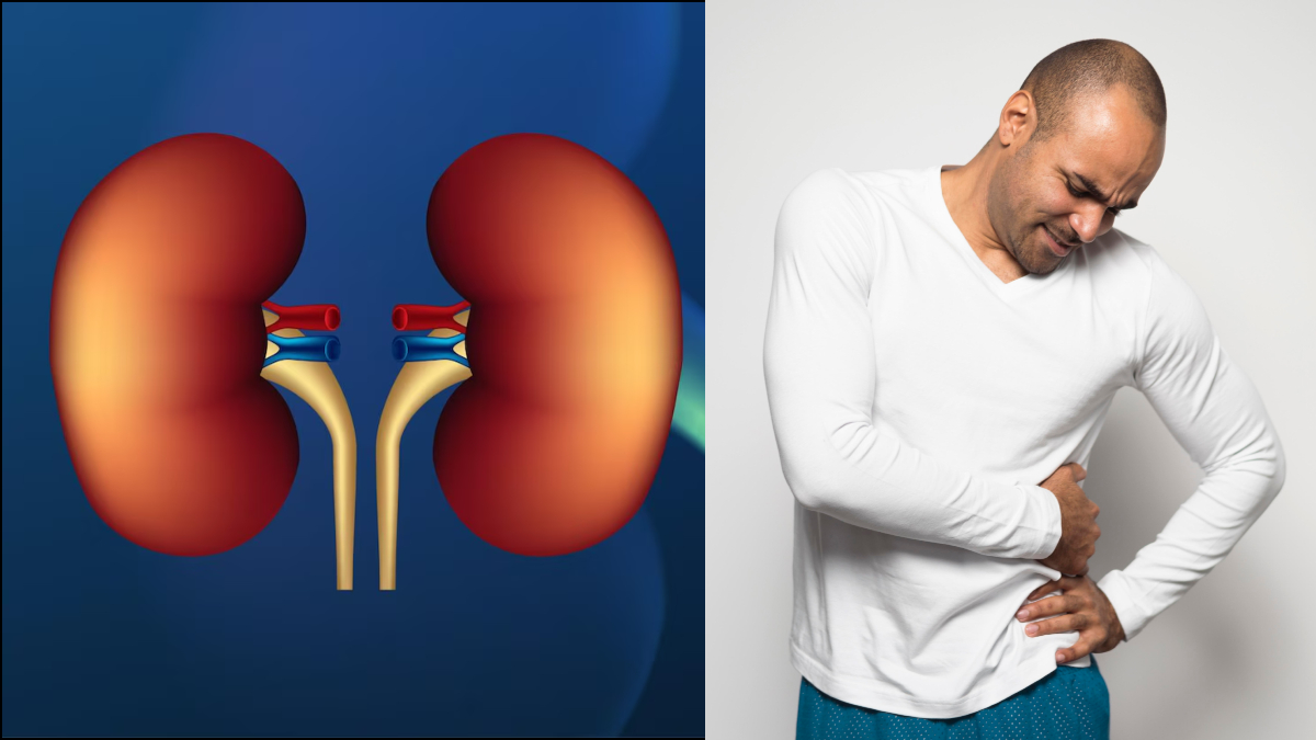 किडनी को साफ करने के प्राकृतिक तरीके, इन चीजों से करें गुर्दे की सफाई, निकल जाएंगे सारे विषाक्त पदार्थ