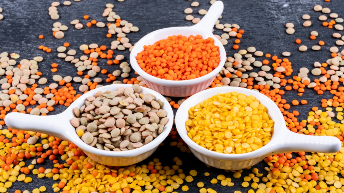 सबसे ज्यादा प्रोटीन वाली दाल कौन-सी है? डाइट में करें शामिल, शरीर रहेगा फिट और एनर्जेटिक