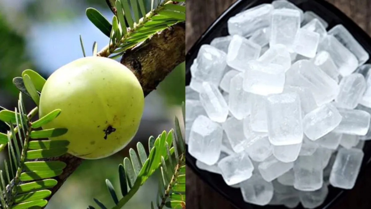 आंवला और मिश्री का कॉम्बिनेशन है कमाल का, सेहत को मिलते हैं कई गजब के फायदे, जानें कैसे करें इस्तेमाल? आंवला और मिश्री का कॉम्बिनेशन है कमाल का, सेहत को मिलते हैं कई गजब के फायदे, जानें कैसे करें इस्तेमाल?