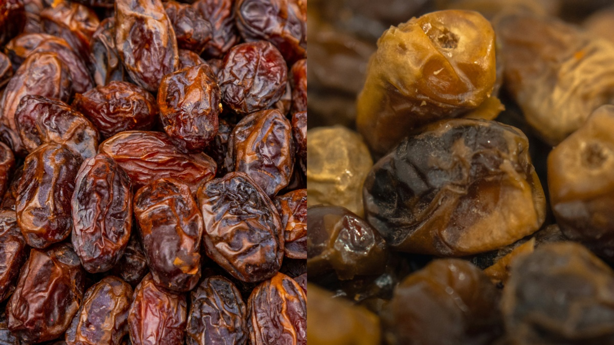 खजूर vs छुहारा: सेहत के लिए कौन है ज्यादा फायदेमंद? जानें रोज कितनी मात्रा में करें सेवन? खजूर vs छुहारा: सेहत के लिए कौन है ज्यादा फायदेमंद? जानें रोज कितनी मात्रा में करें सेवन?