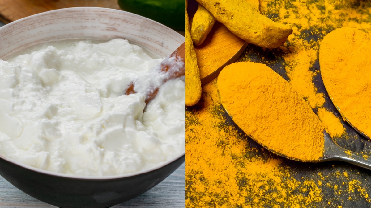 दही में चुटकीभर हल्दी मिलाकर चेहरे पर लगाने से क्या होता है? जानें यह कॉम्बिनेशन स्किन के लिए है कितना फायदेमंद? दही में चुटकीभर हल्दी मिलाकर चेहरे पर लगाने से क्या होता है? जानें यह कॉम्बिनेशन स्किन के लिए है कितना फायदेमंद?