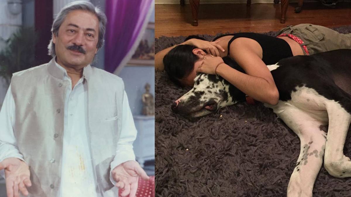 टैलेंट का खजाना हैं सईद जाफरी की बेटी, बॉलीवुड नहीं हॉलीवुड में जमाई धाक