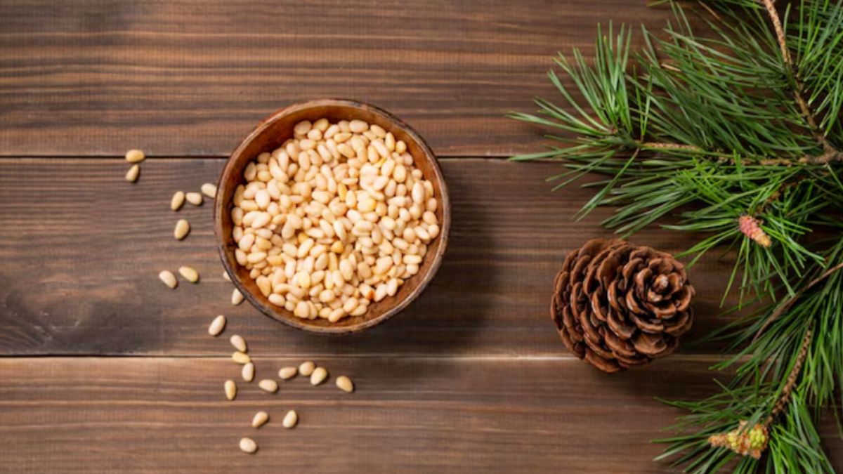 इस छोटे से मेवे के आगे फेल है सभी ड्राई फ्रूट्स, खाने से मिल सकते हैं ये कमाल के फायदे इस छोटे से मेवे के आगे फेल है सभी ड्राई फ्रूट्स, खाने से मिल सकते हैं ये कमाल के फायदे