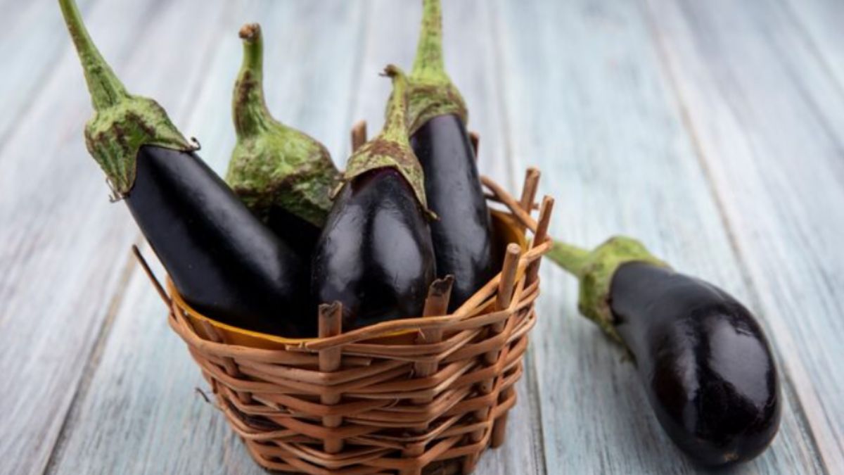 बिना काटे इस तरह करें कम बीज वाले बैंगन की पहचान, ये ट्रिक है बहुत कारगर