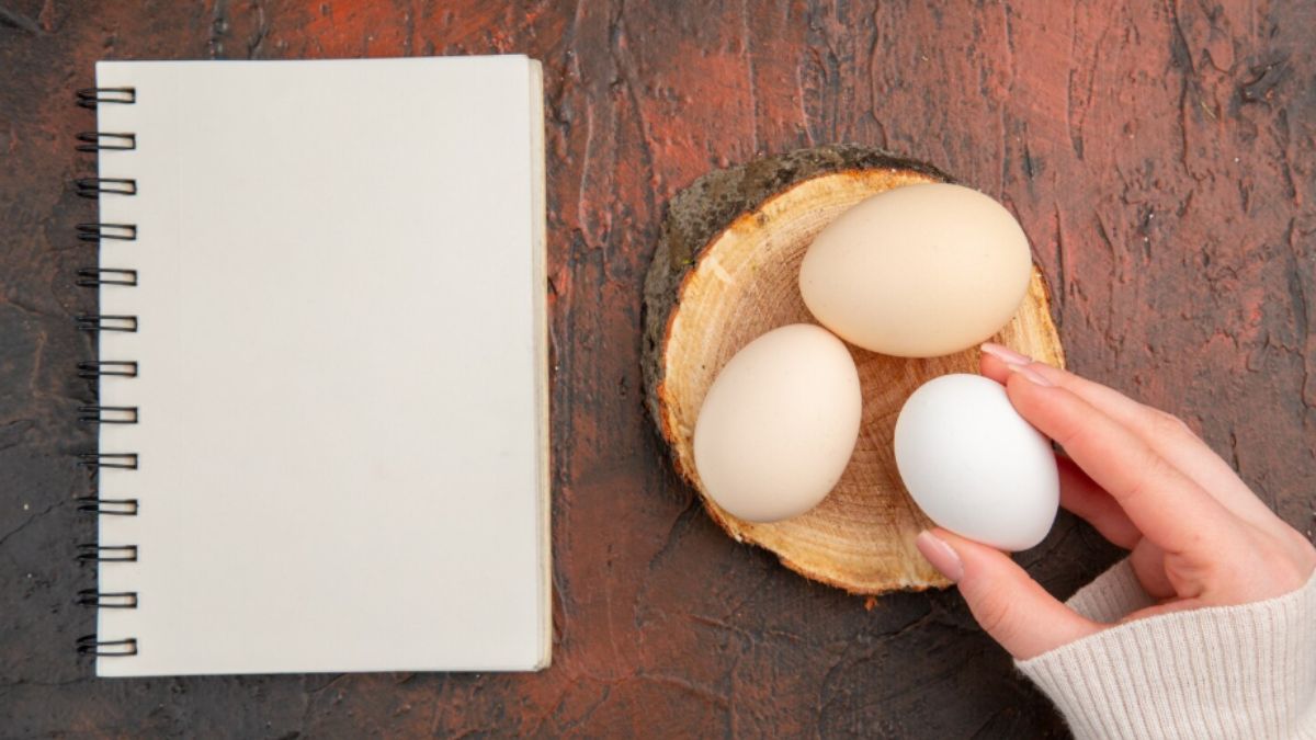 अंडे कितने दिनों में एक्सपायर होते हैं? जान लें Expired Egg खाने से शरीर में क्या हो सकता है? अंडे कितने दिनों में एक्सपायर होते हैं? जान लें Expired Egg खाने से शरीर में क्या हो सकता है?