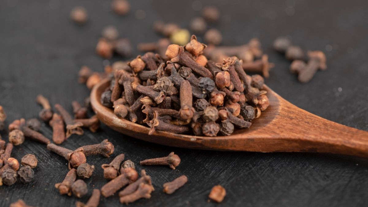 घर पर गमले में लौंग कैसे उगाएं? ये टिप्स आ सकते हैं आपके काम