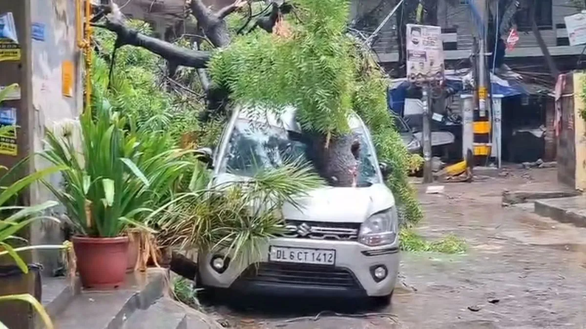 LIVE: दिल्ली-NCR में भारी बारिश का कहर! कहीं कार पर पेड़ गिरा तो कहीं गड्ढे में समाई गाड़ी दिल्ली के रंजीत नगर...- India TV Hindi