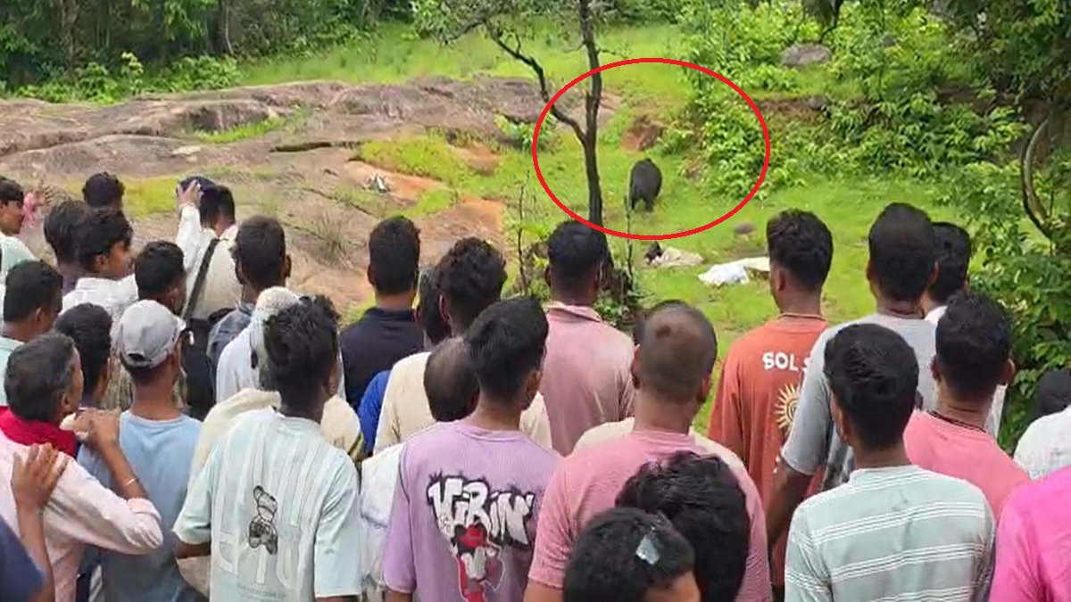 स्कूल के पीछे छिपे भालू ने उजाड़ दिया परिवार, 2 सगे भाई-बहन की ली जान, फिर शवों को घंटों चीरता रहा