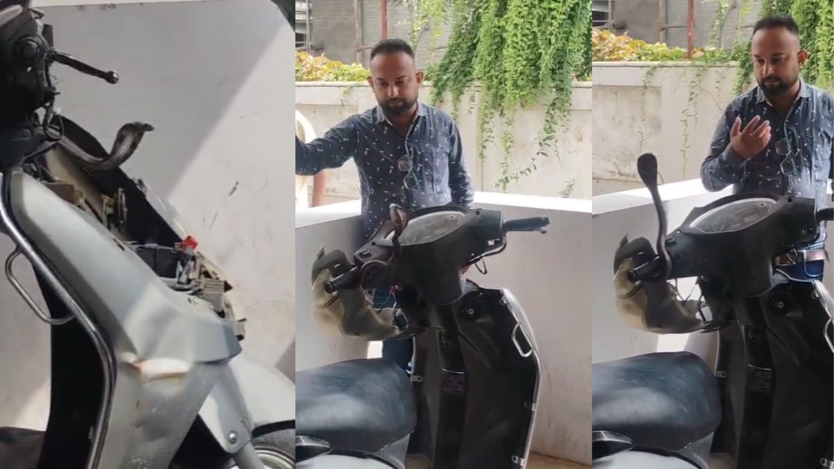 स्कूटी के अंदर घुसा जहरीला कोबरा का बच्चा, फन फैलाकर हो गया खड़ा, देखें VIDEO