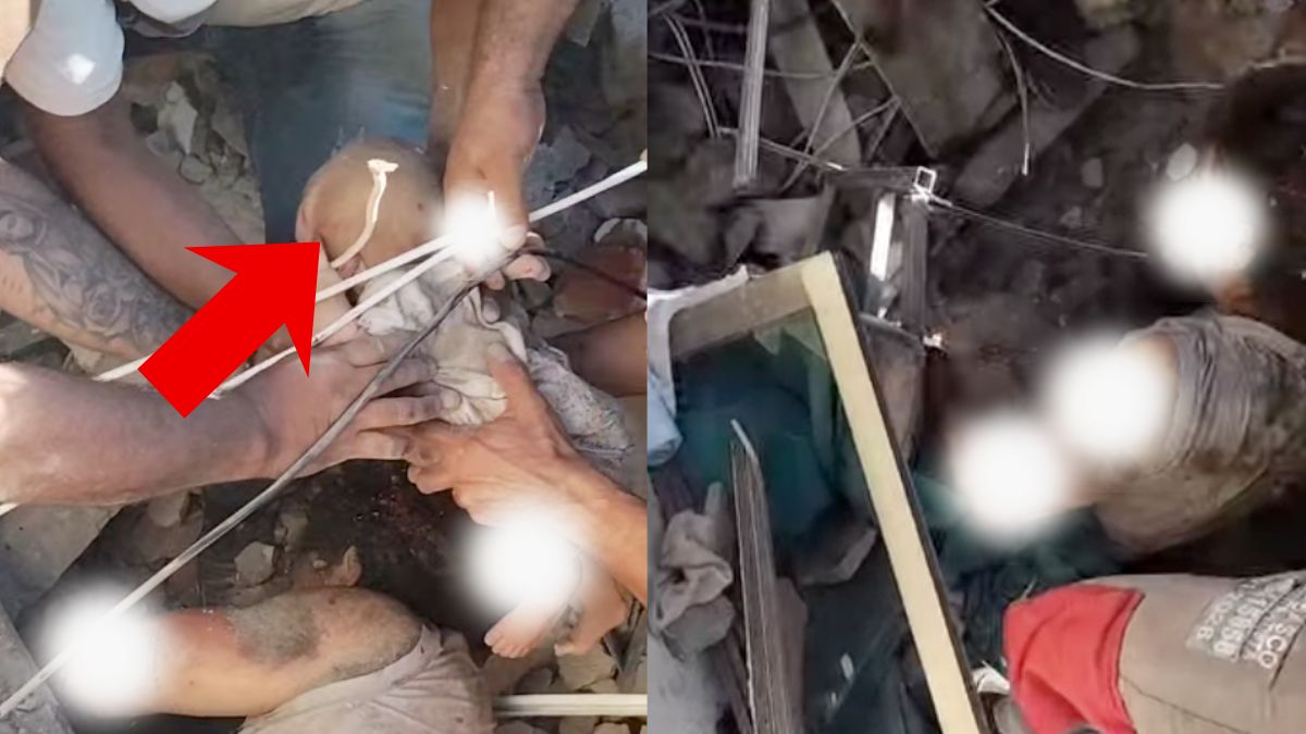 कोलंबिया में भूकंप के बाद मलबे से जिंदा निकाला गया नवजात, सामने आईं तस्वीरें