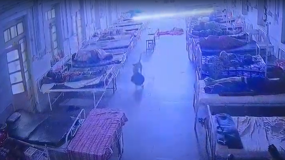 VIDEO: अस्पताल में मरीज के परिजन का ज्वेलरी से भरा बैग कुत्ता उठाकर भागा, रखे थे उसमें 4 लाख के गहने, मचा हड़कंप